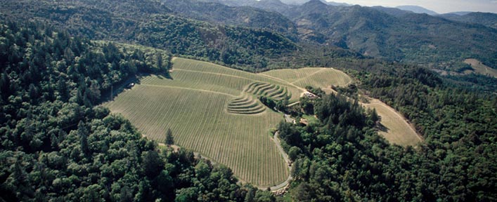Candlestick Ridge Vineyard