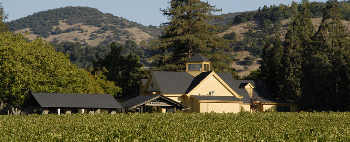 Rector Creek Vineyard
