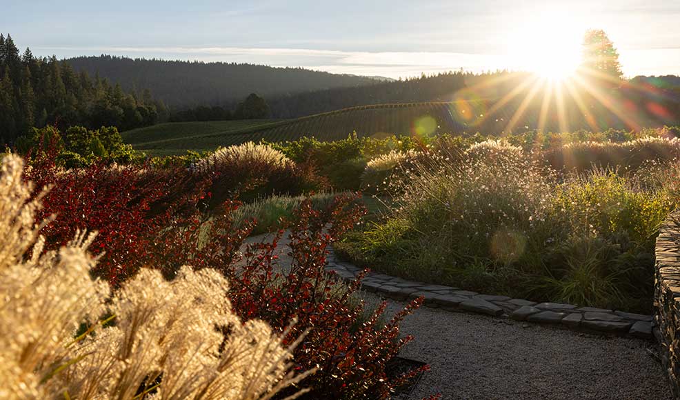 Farm to Table Dinner