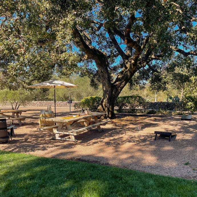 Oak Tree Gathering