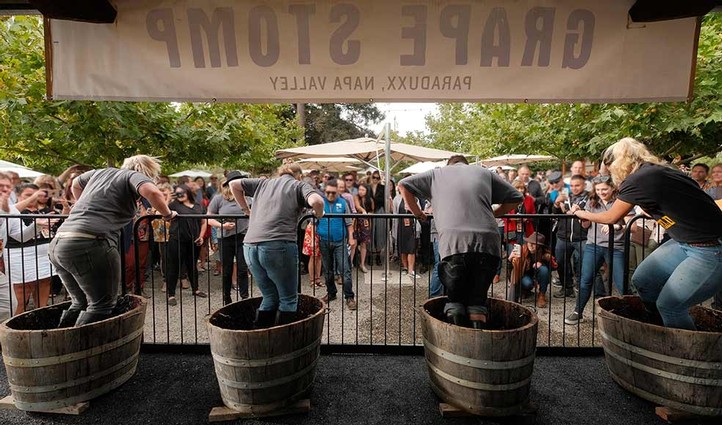 Napa Valley fall annual grape stomp competition and concert at Paraduxx