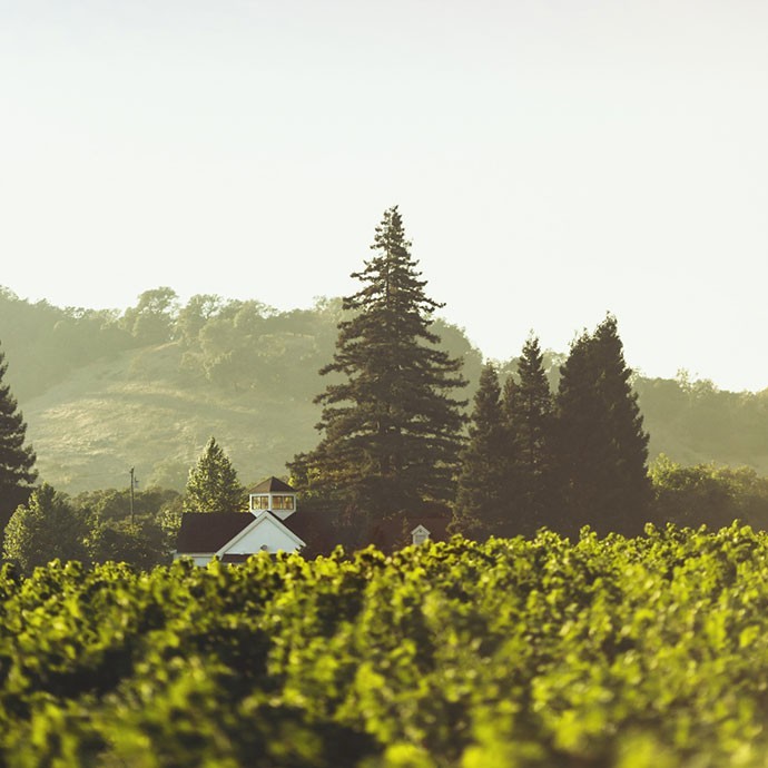 Paraduxx estate house and rector creek vineyard