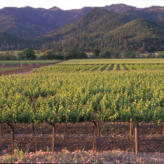 Acquisition of Rector Creek Estate Vineyard