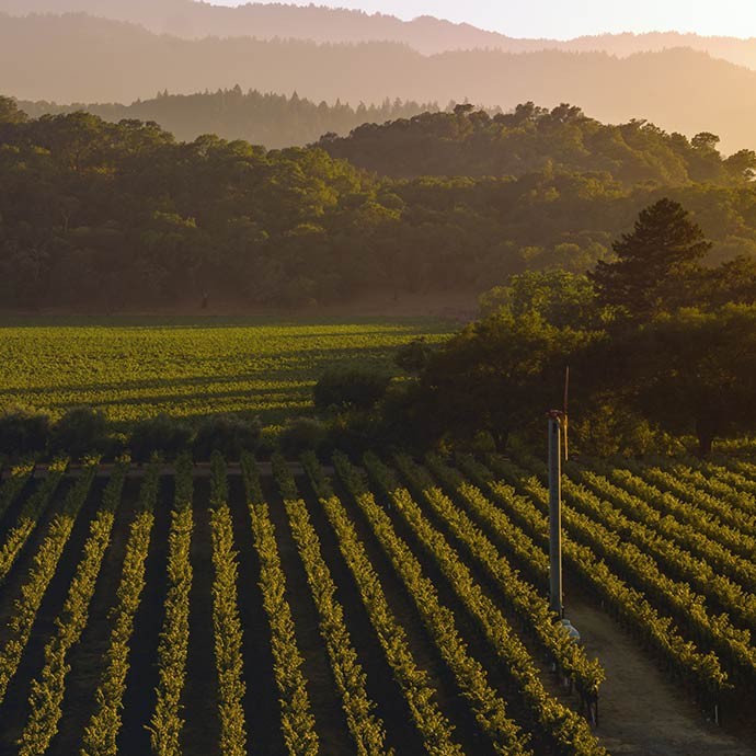 Test your palate with a taste of the mountains wine experience