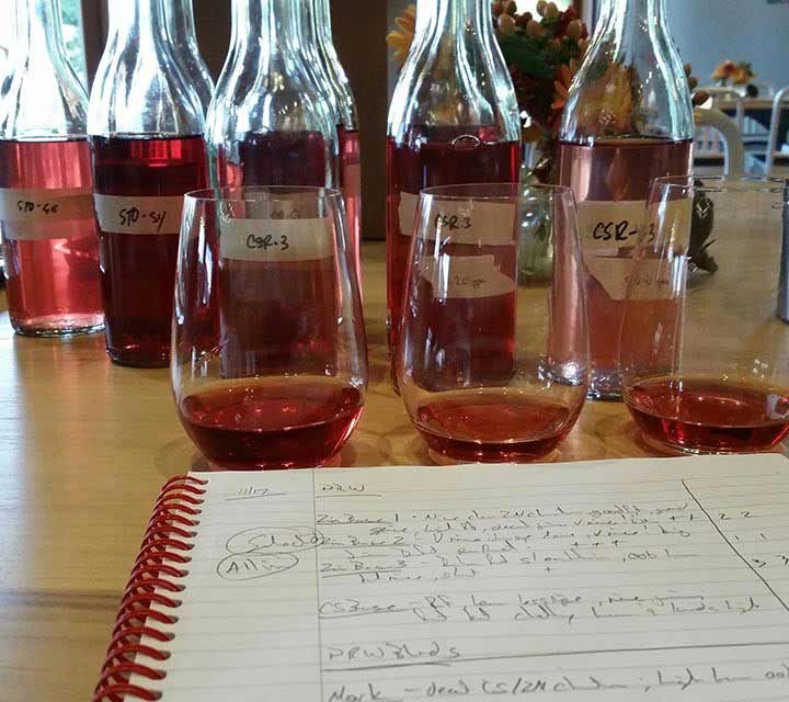 Paraduxx Rose wine