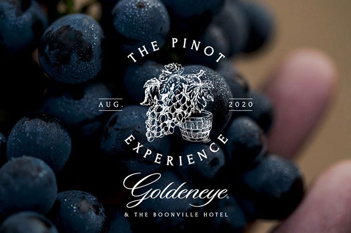 An exclusive Pinot Noir experience at Goldeneye Anderson Valley